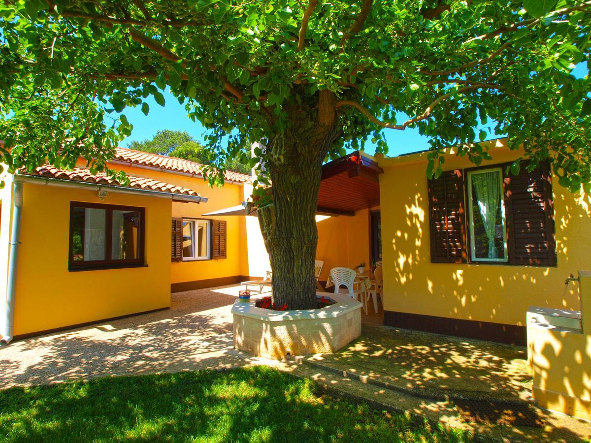 Villa House 1037 Fažana Esterno foto