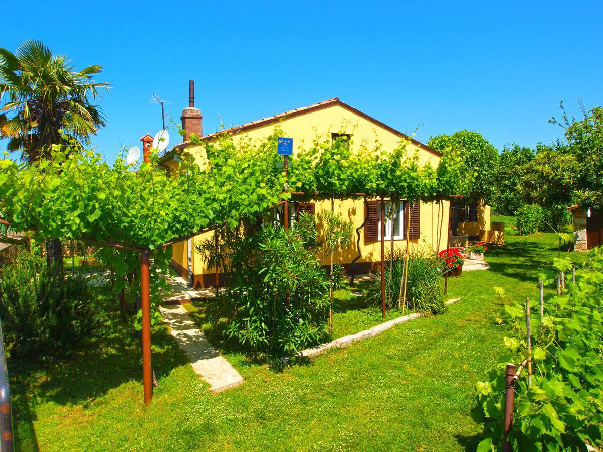 Villa House 1037 Fažana Esterno foto
